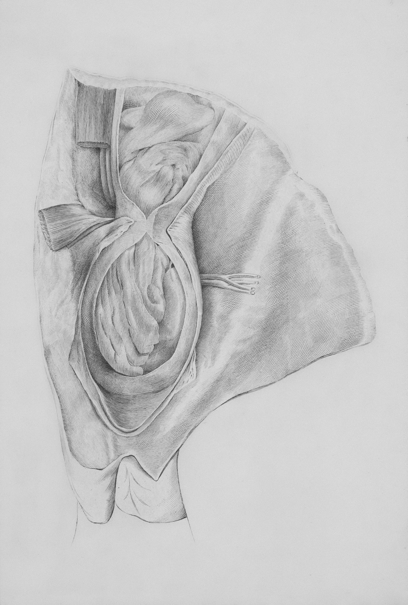 I don't know how Simpson works and how they could be soo true Dr Shaw