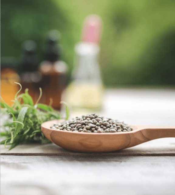 Hemp Seeds Legal Landscape, Safety Considerations, and Allergy