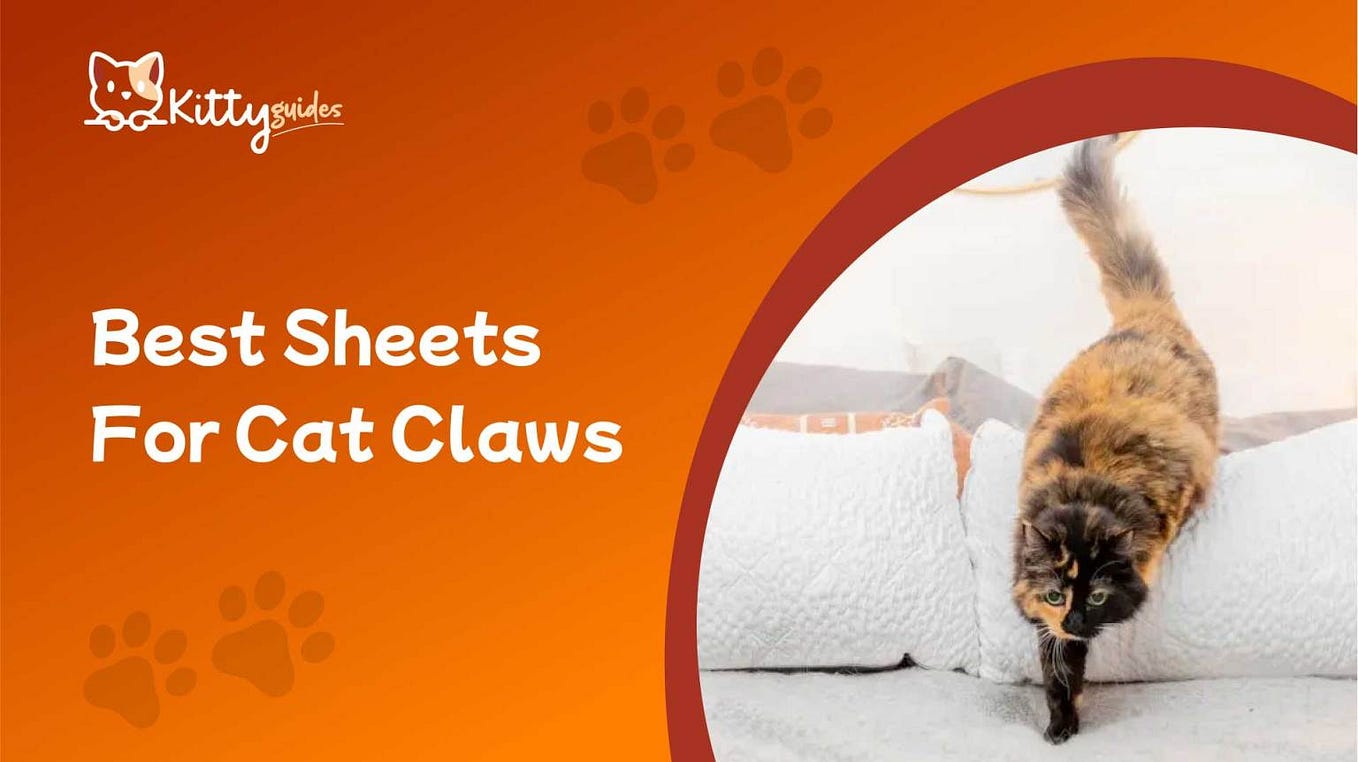 Top Places to Live in Australia for Expats by Mamun Jul, 2024 Medium