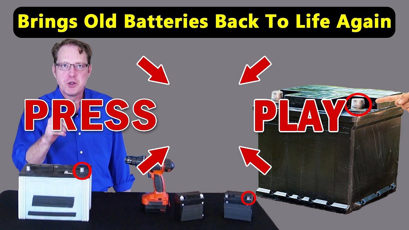 Learn How to Recondition Batteries from the Experts | by Bonitagrow