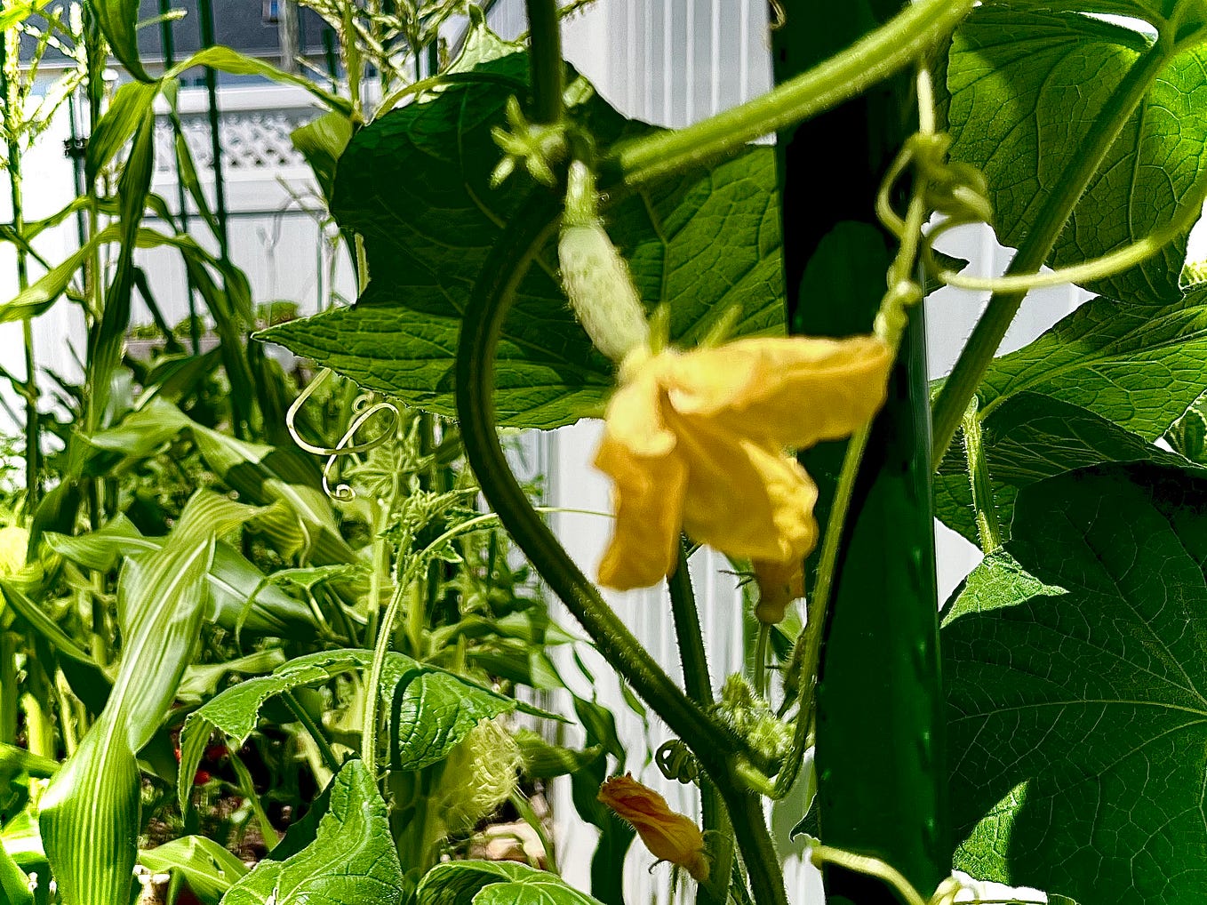 Yikes! What a nightmare! Wishing you a healthy 2024 (and beyond of