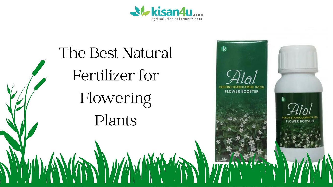 best natural fertilizers for flowering plantsBloom Your Garden with