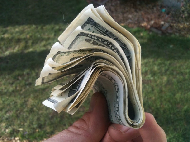 The Day I Brought Ginger Rose Home With Me by Jojo Teckina The