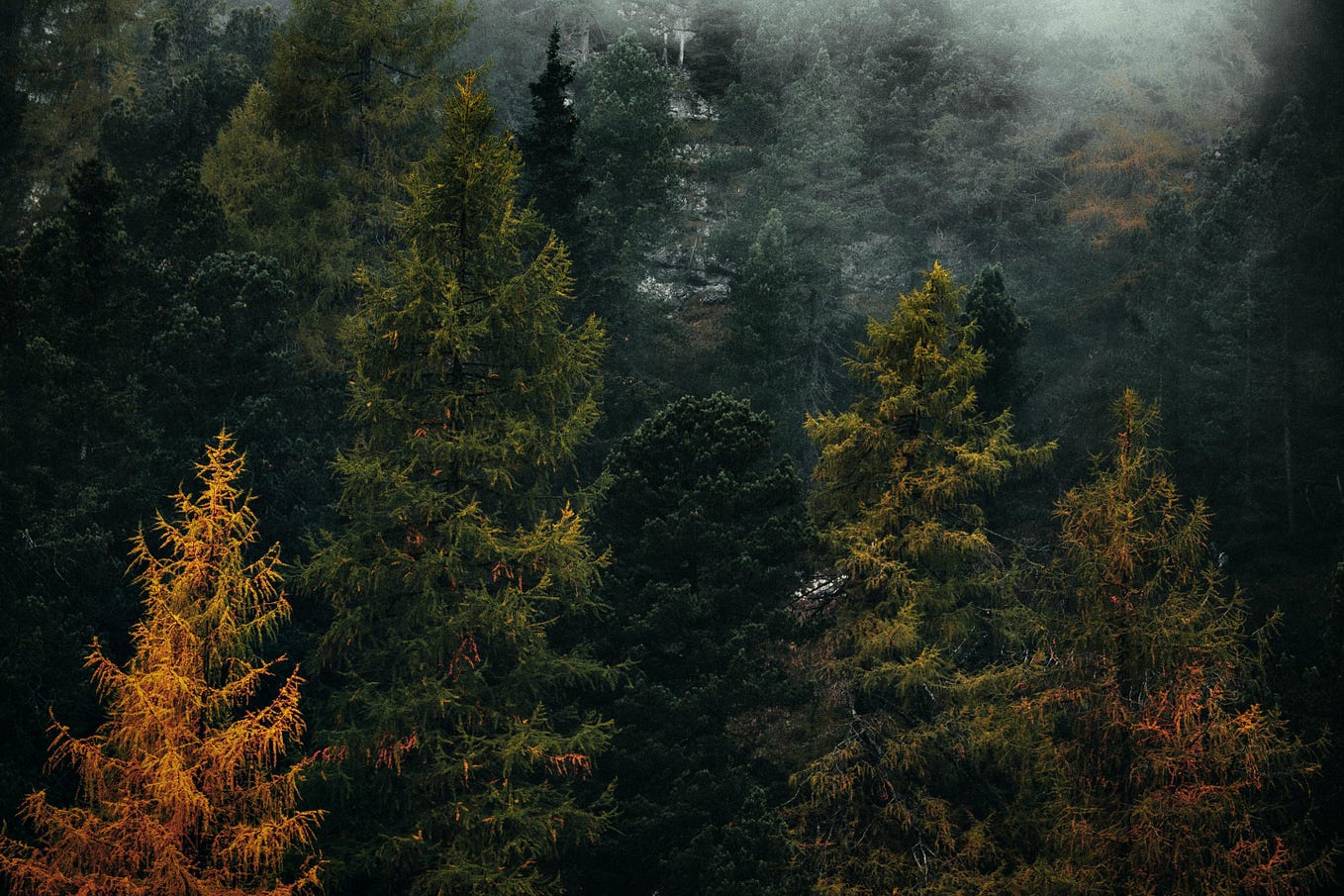 Beyond the Battlefield What Does “Occupation” Really Mean in