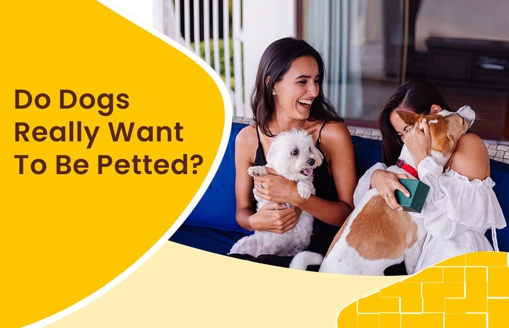 The Emotional and Mental Benefits of Owning a Pet A Source of Joy