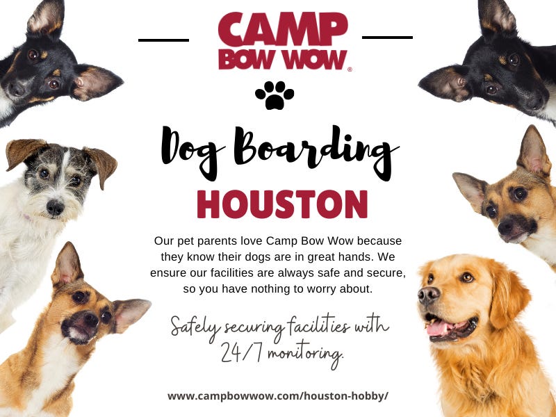 Dog Boarding Houston. Elevate Your Dog’s Stay Discover What… by Camp