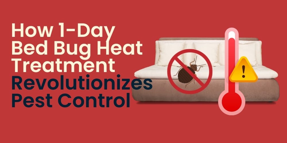 Effective Strategies to Combat Home Infestation from Bed Bugs by