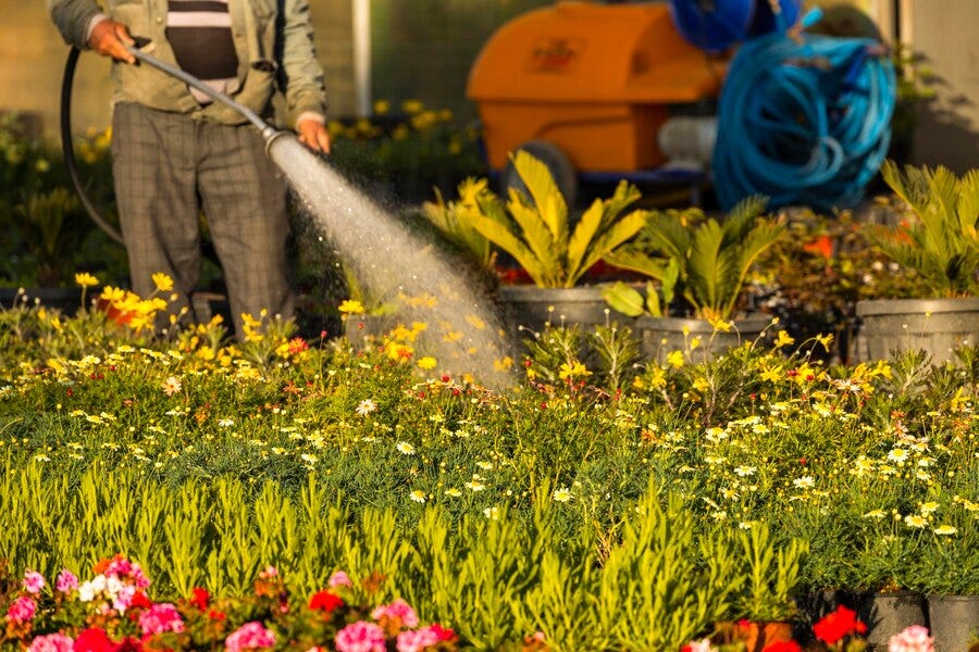 Best Sprinklers to Use for Your Large Lawn This Summer by Green