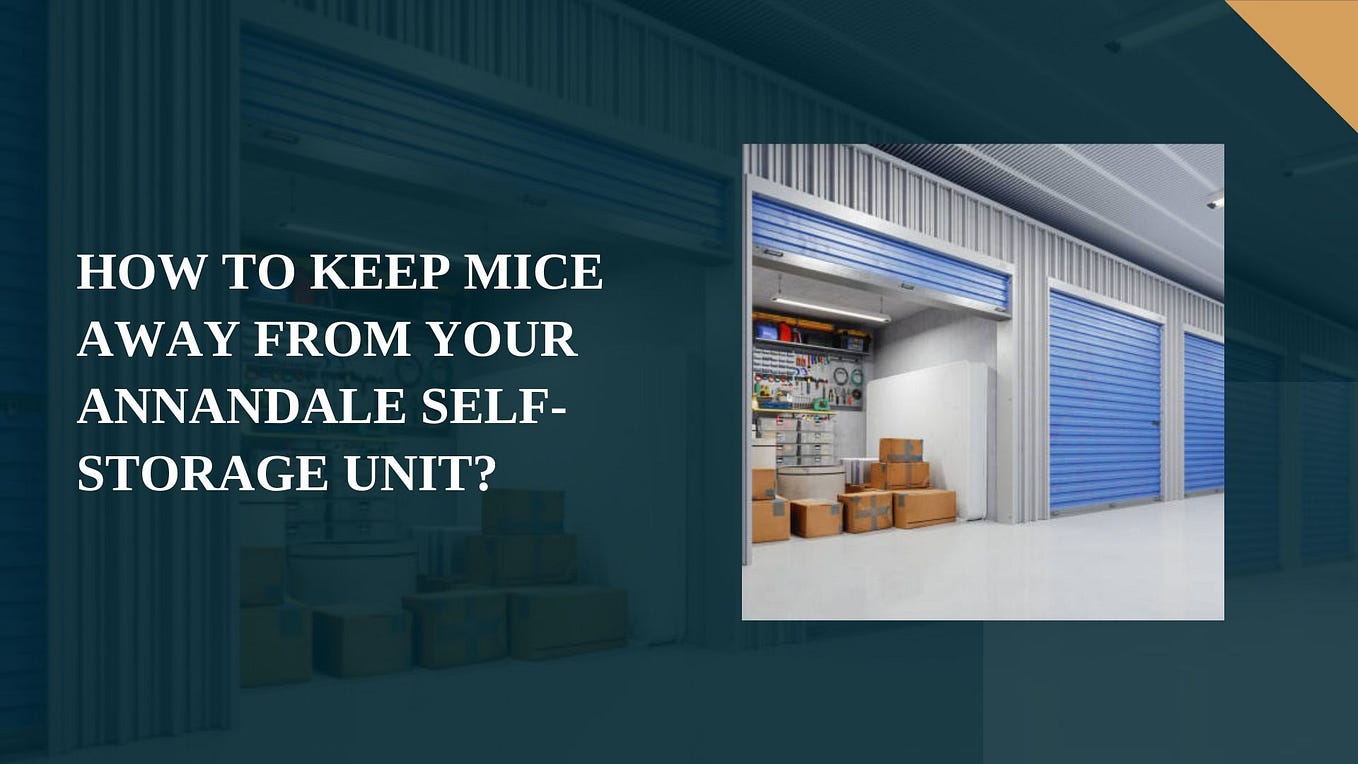 6 Expert Tips to Keep Your Clothes Fresh in Self Storage Units by