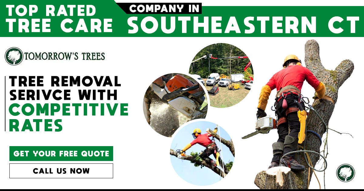 Fast and Affordable Tree Removal Services Near You Tomorrowstrees