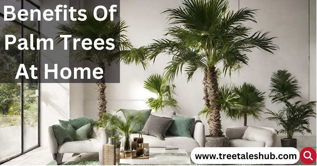 The Ultimate Guide to Avoiding Overwatering Palm Trees Medium