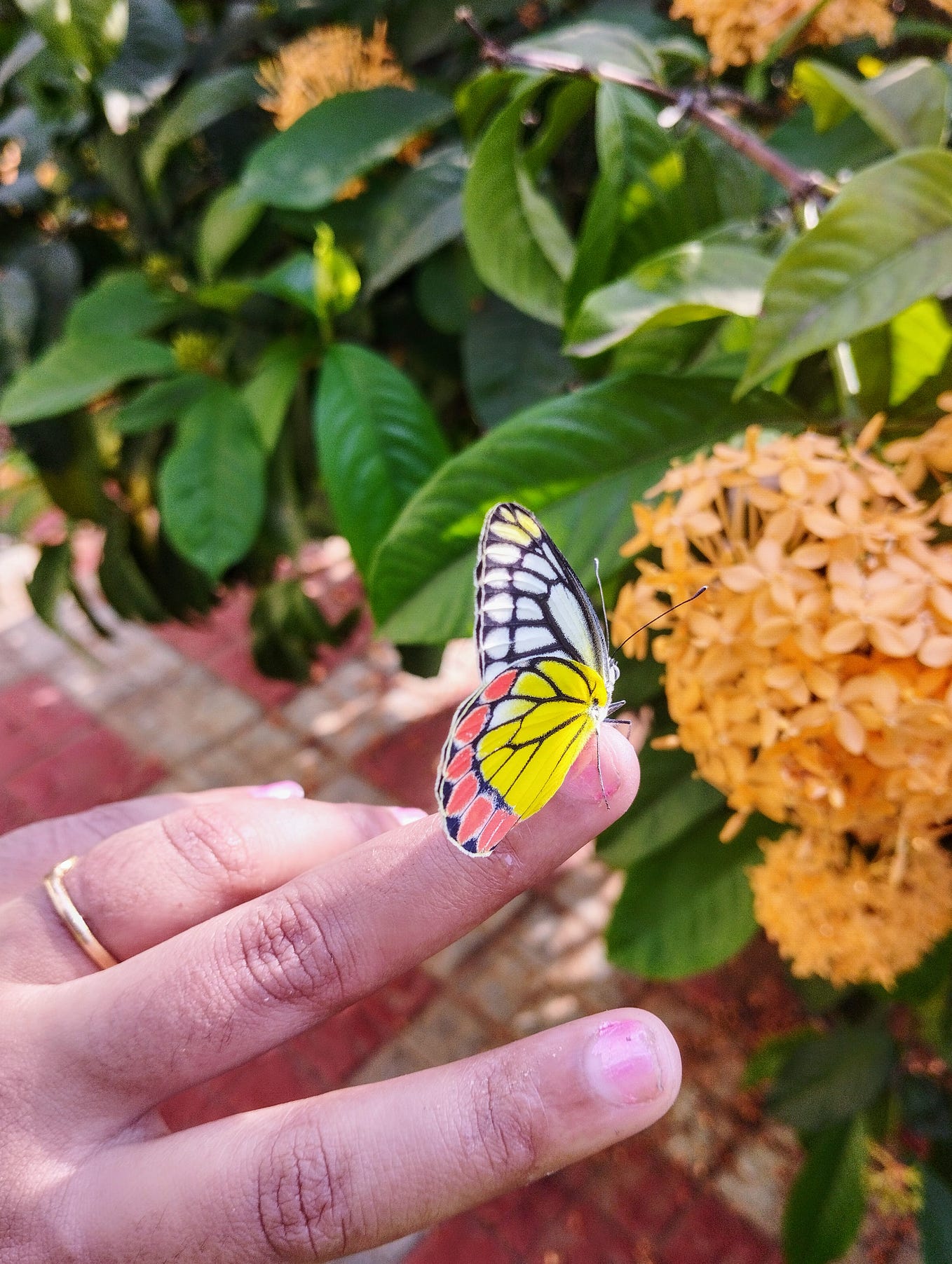 Beautifully said... Very true... Too much of anything is good for