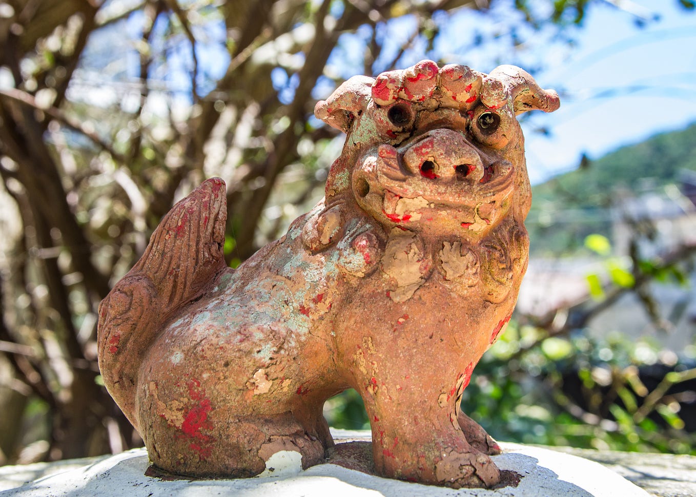 Maui in March sounds great. I can't wait to see your pictures. Wildlife