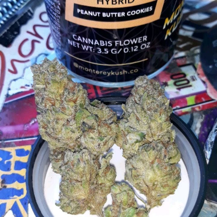 Electronic Peanut Butter Cookies Strain A Delicious and Potent Hybrid