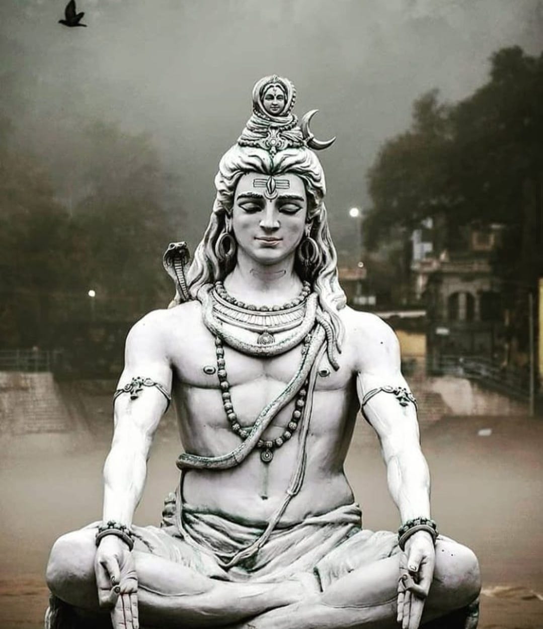 Is there a difference between Shiva and Krishna? by Acharya Prashant