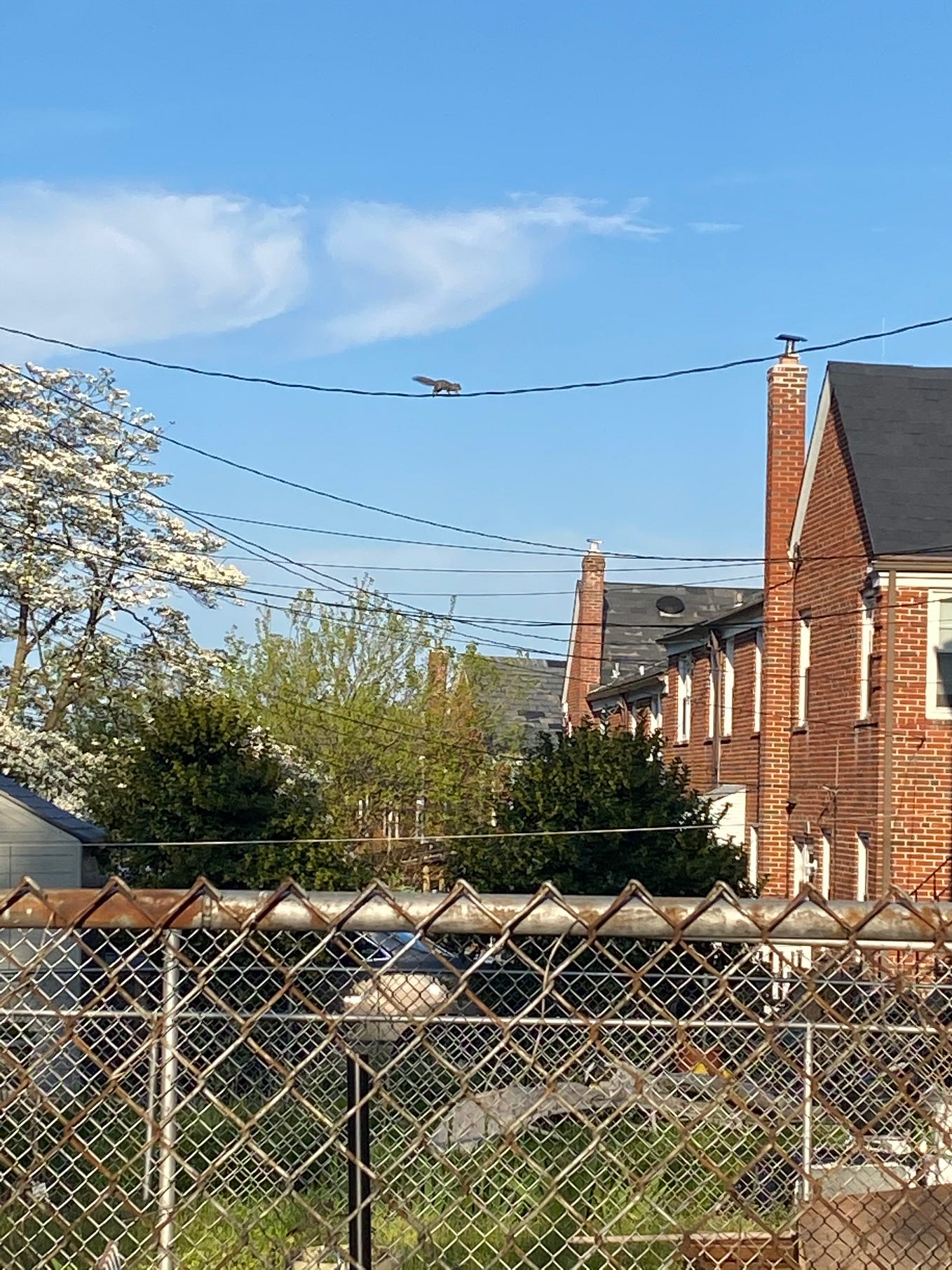 Using Machine Learning to Predict high performing Players in Fantasy