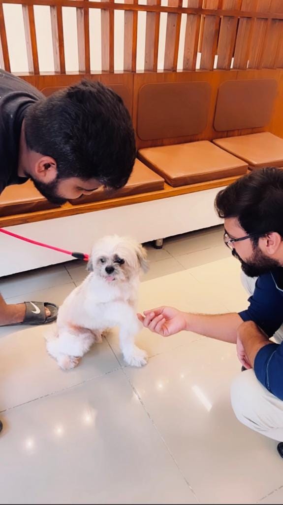 Pet Care Services in Karachi Petcarencure Medium