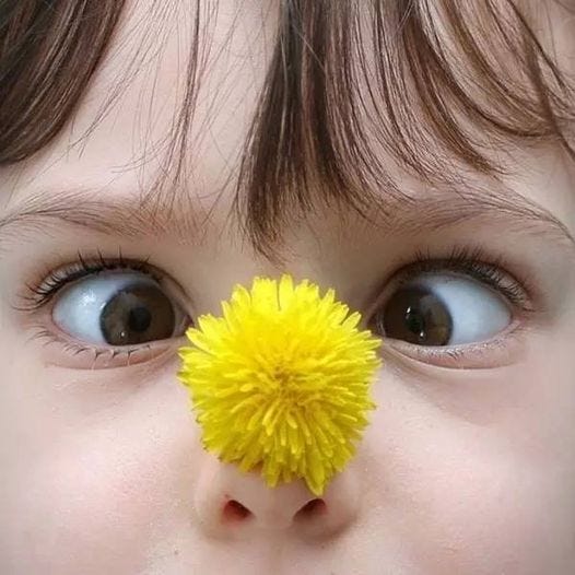 Bucket list. You are also a person having a bucket… by Holachica Says