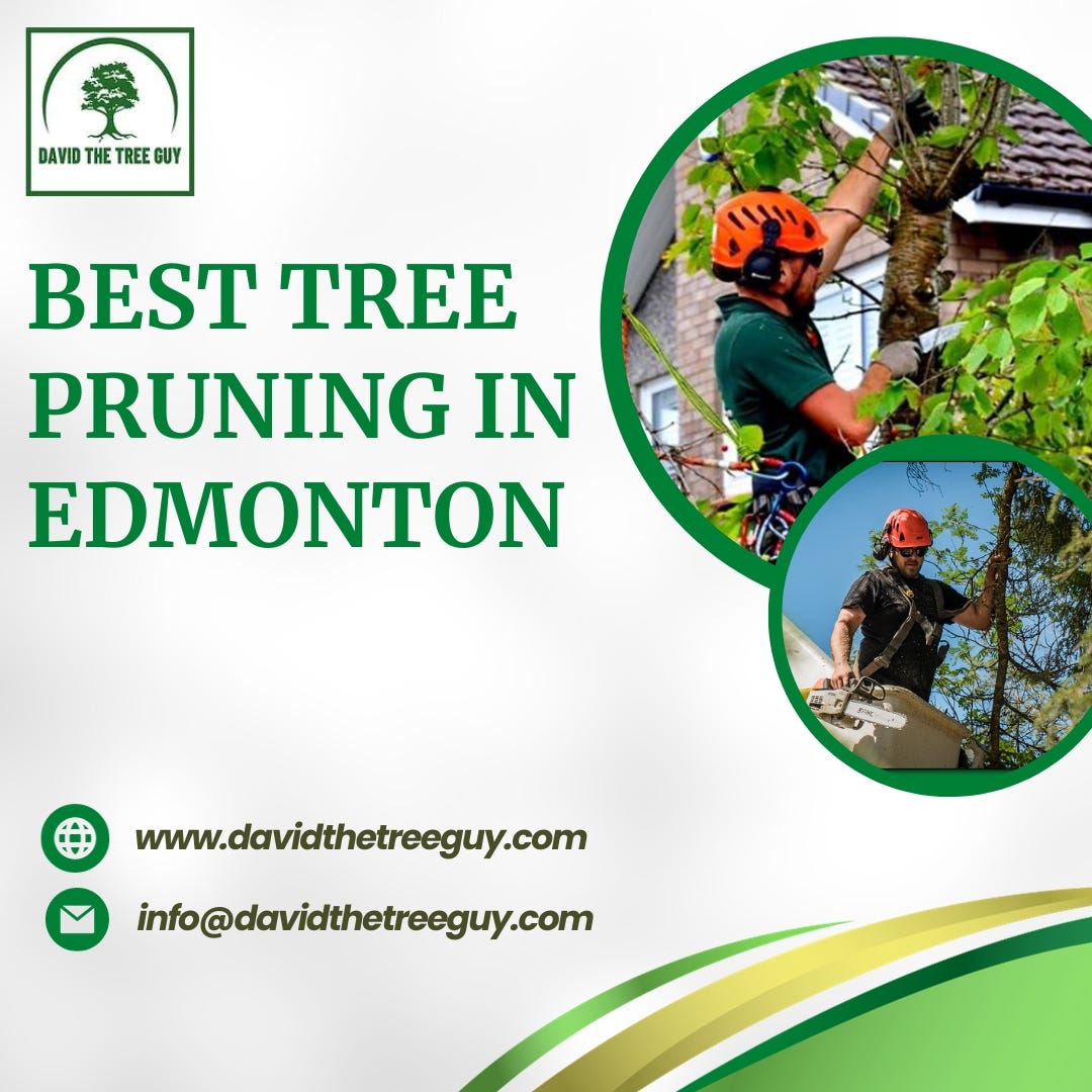 Best Tree Pruning in Edmonton David The Tree Guy Medium
