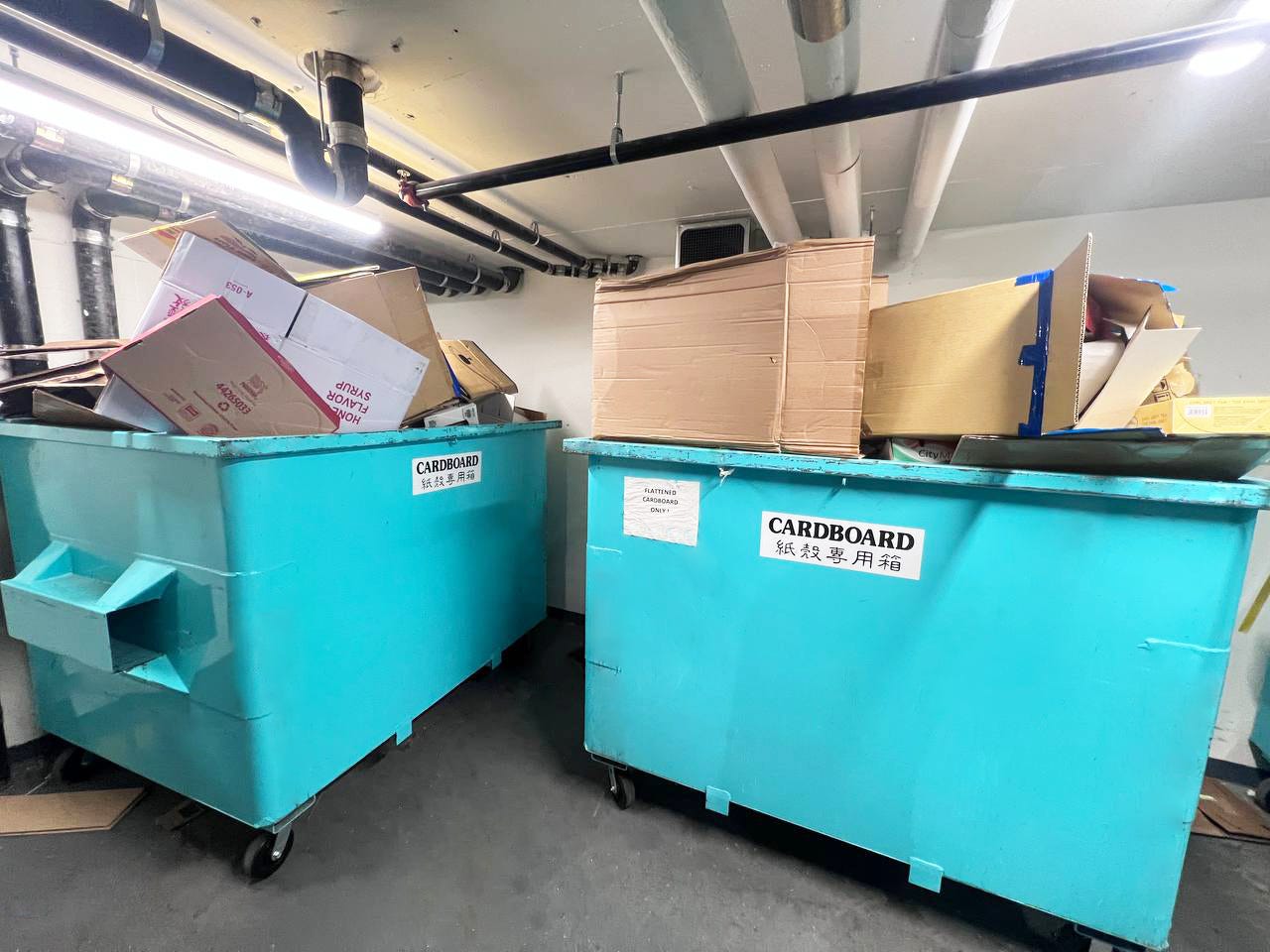 Customized Waste Disposal for Businesses in Metro Vancouver Disposal