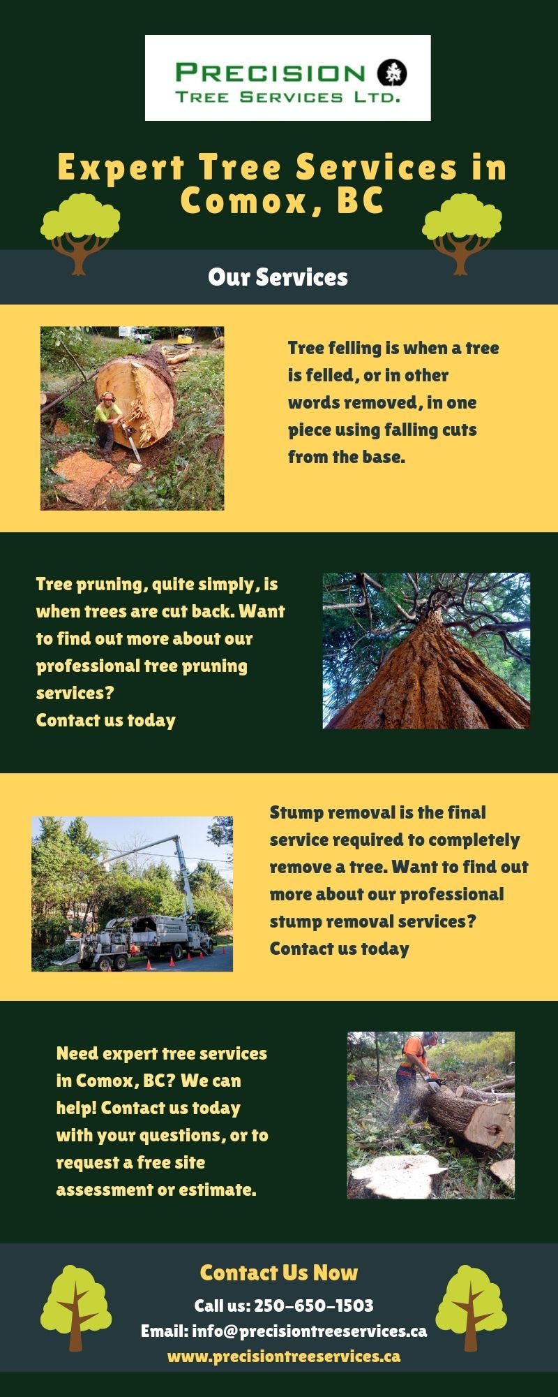 Tree Maintenance Services in Cumberland by Precision Tree Services