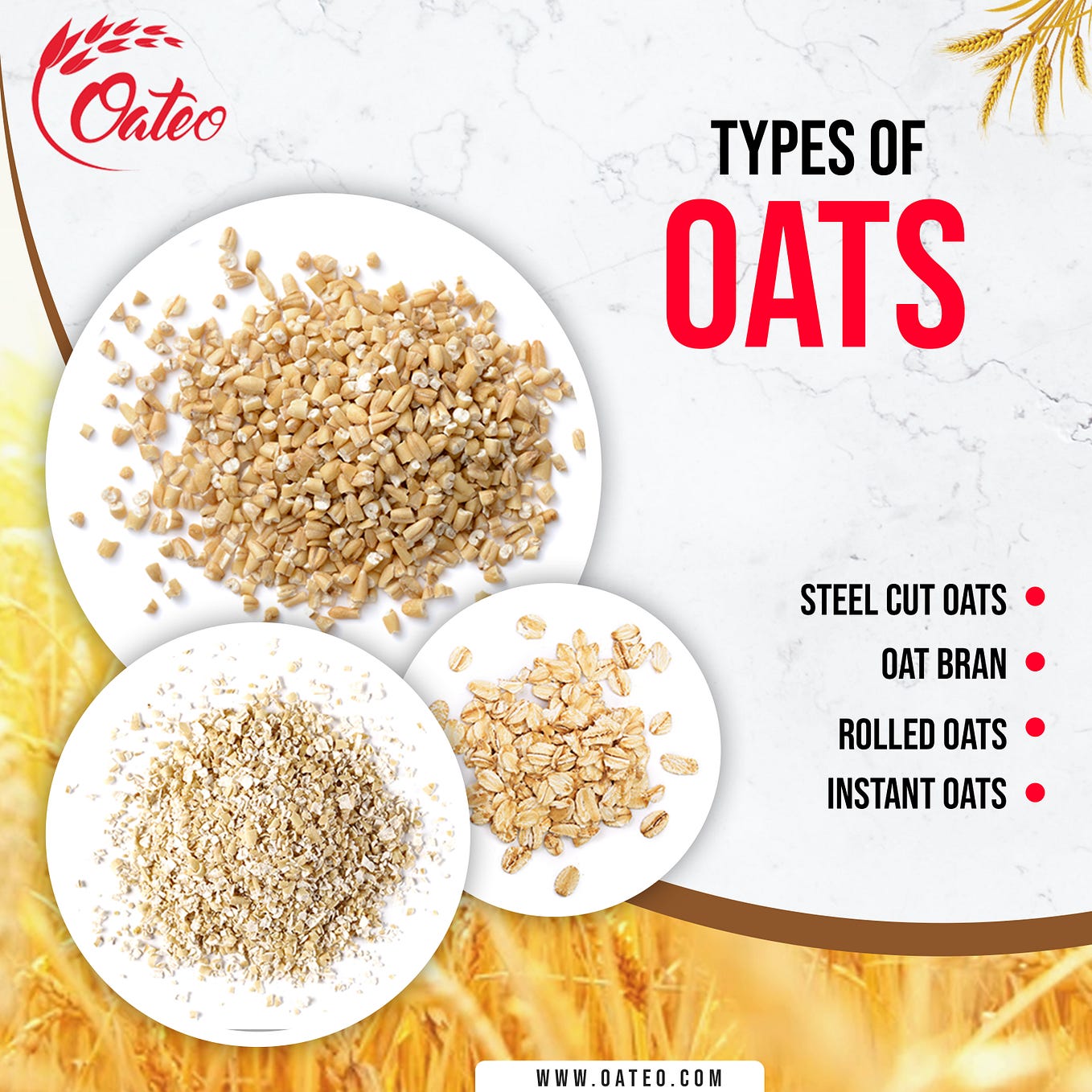 Your Ultimate Guide to Overnight Oats by Oateo Oats Medium