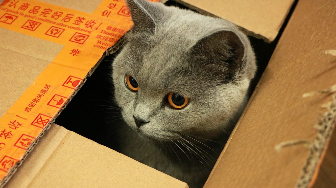 Nice summary of some of the interesting places where Kotlin's type