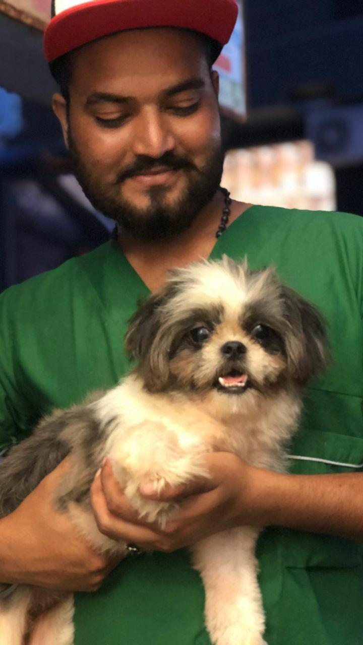 Best Pet Care in Karachi Petcarencure Medium