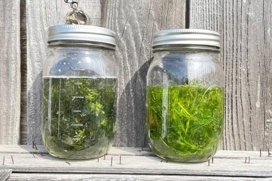 Cracking the Code of Greenwashing Here’s What It Really Means by