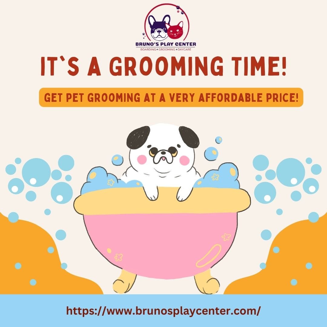 Best Dog Daycare Center in Dubai Robert Ruder Medium