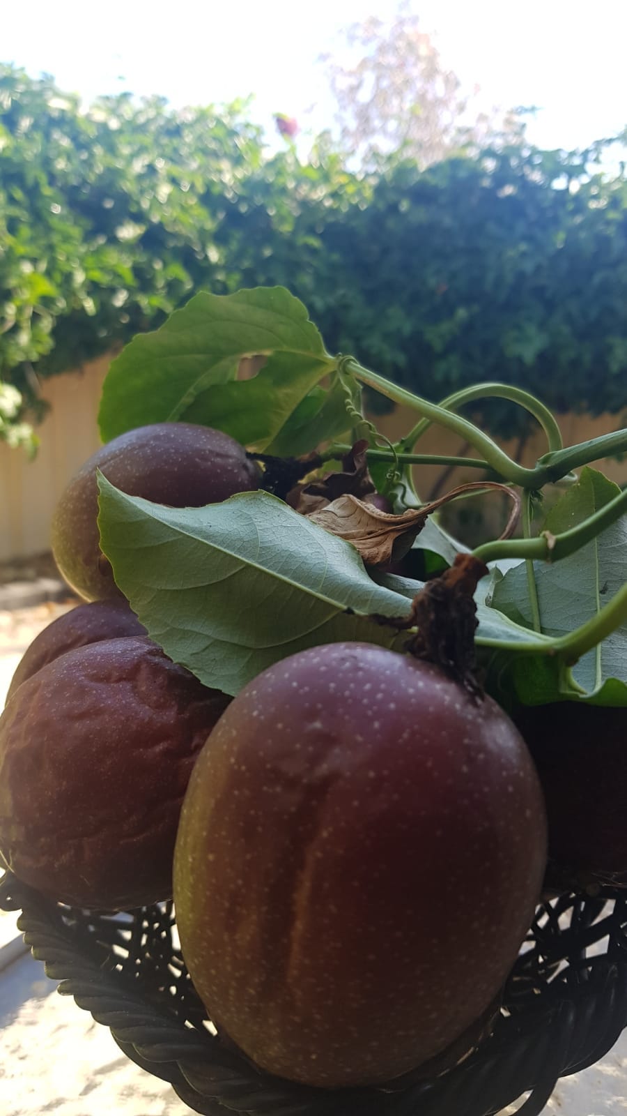 Agree...military build ups...money could...should be spent elsewhere 🙏🏾