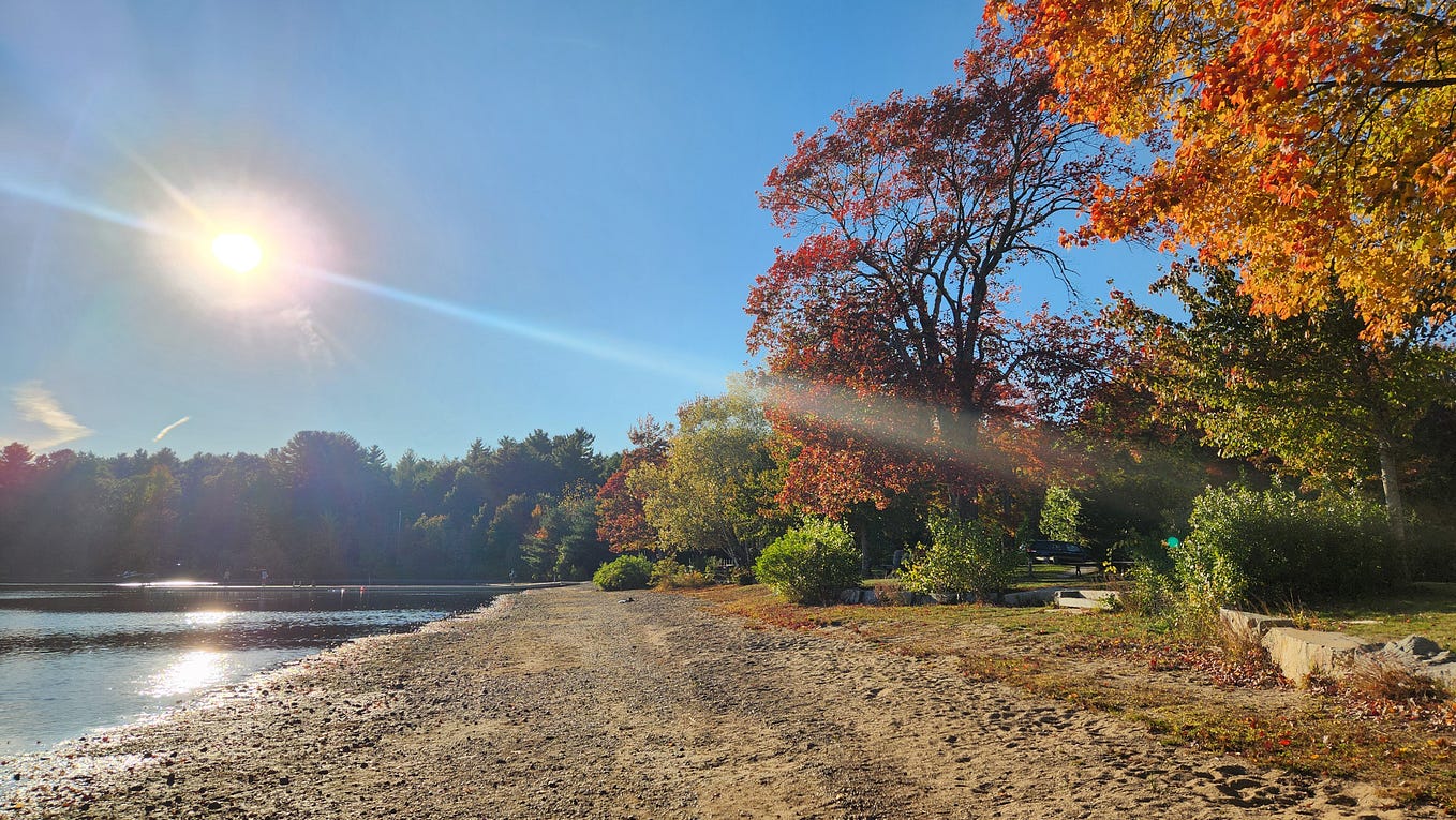 With a Sundress in the Snow I Am Humaning by Jenny Lane Catharsis Chronicles Oct, 2024