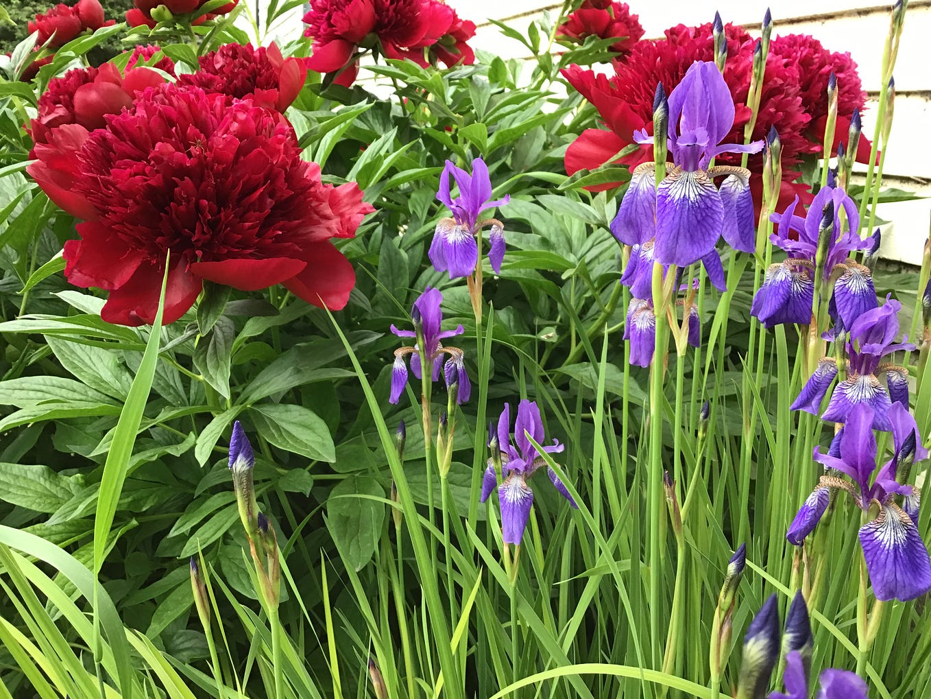 Gardening is a neverending experiment and biology class. You are doing