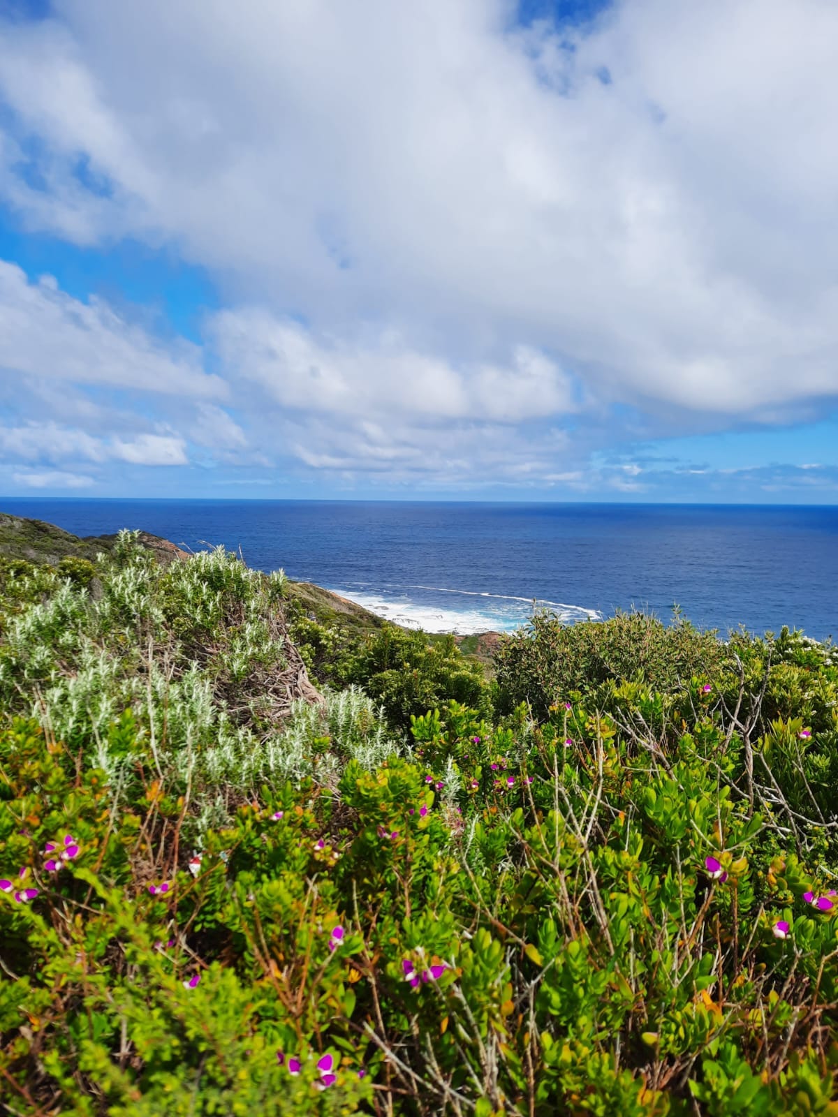 What a wonderful weave of feelings, values and moments. "A desert of