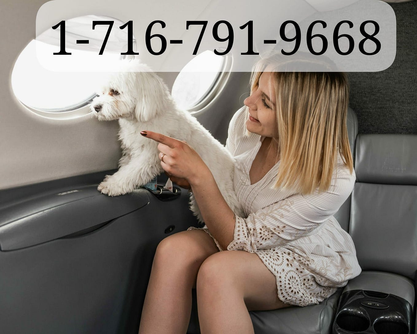 JETBLUE AIRWAYS PET TRAVEL POLICY 1716791((9668)) by
