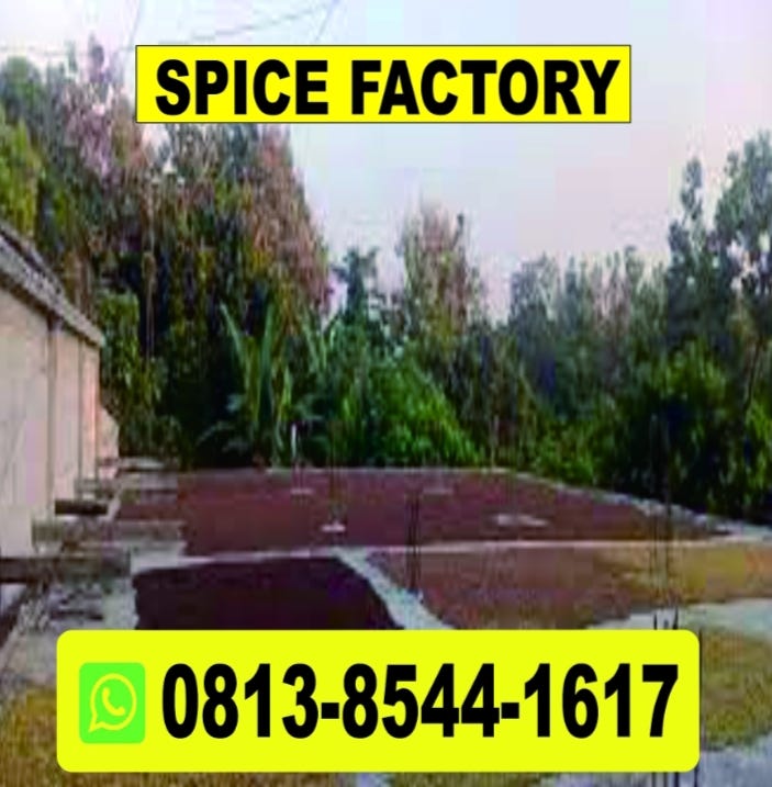 SPICE COMPANY CALL +62813 8544 1617, GINGER EXPORT COMPANIES IN