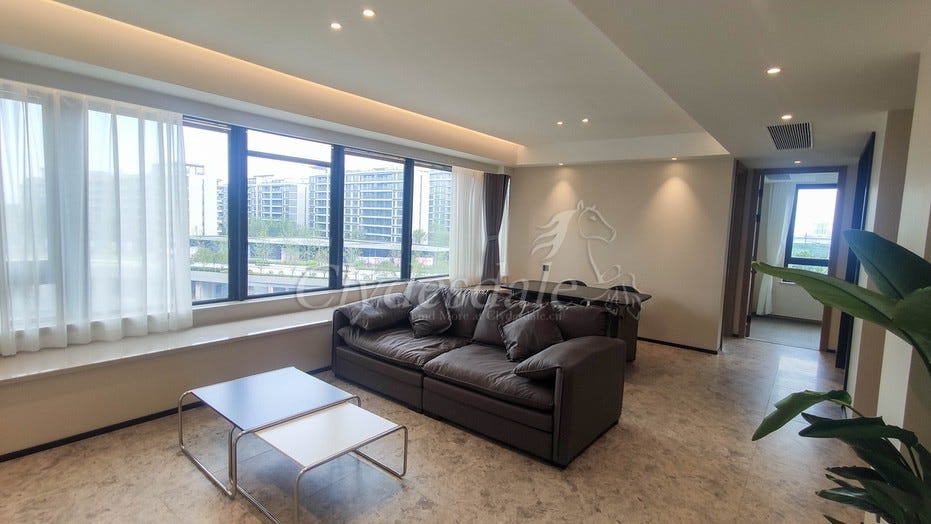 Modern apartment for rent in Hangzhou, China Troy HongClydesdale