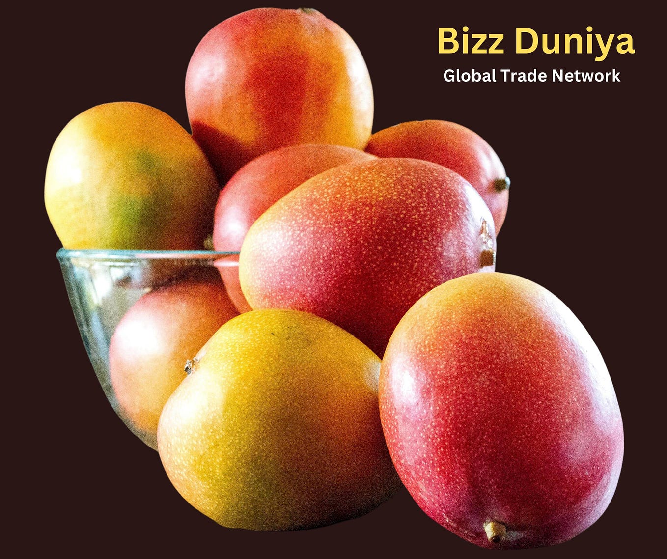 Mangoes Exporters from India Fresh Mangoes Ripening Mango Suppliers