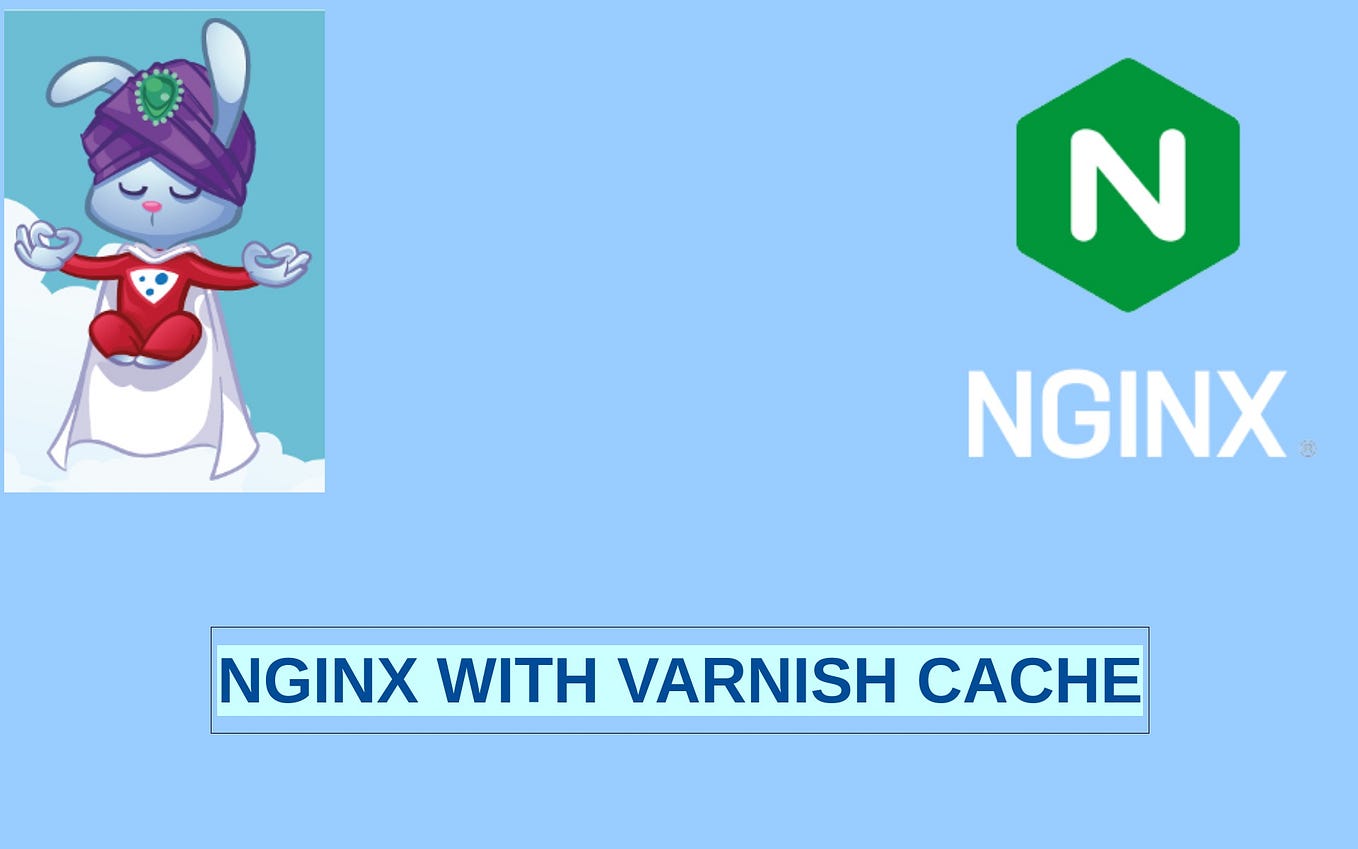 “Mastering Linux The Ultimate Guide to a Linux Expert” by