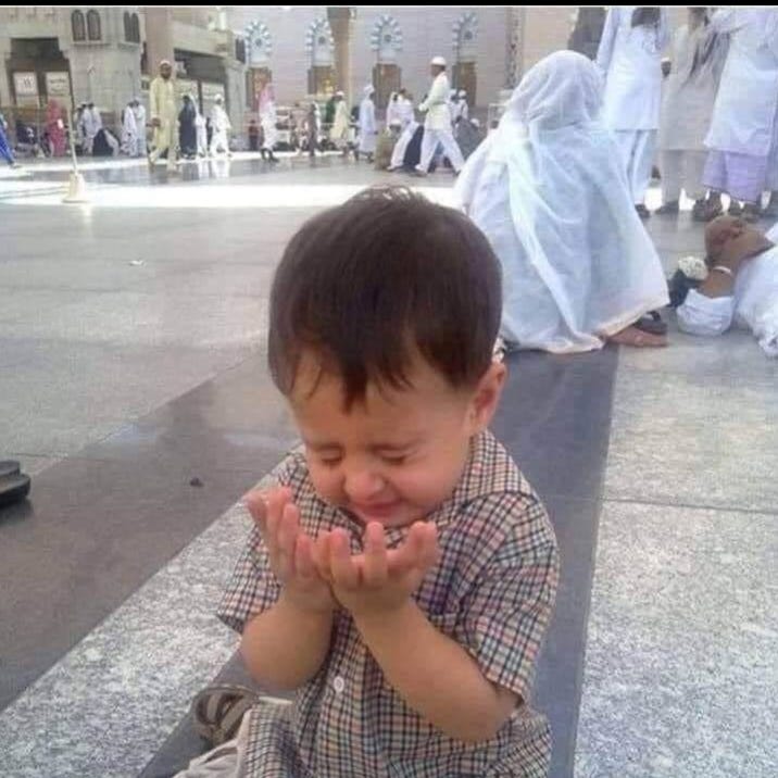 Ingredients Frozen strawberries 1 cup Coconut milk powder 3