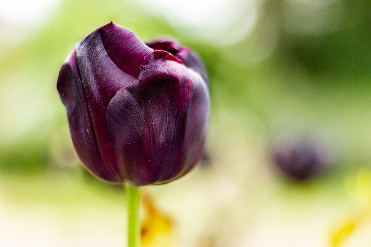 I can't agree more😀😀😀 Surekha Chandrasekhar Medium