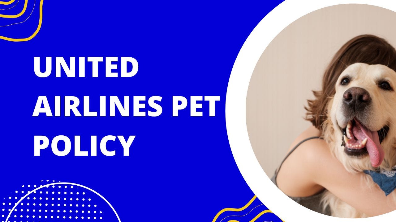 Alaska Airlines Pet Policy Airlines GetHuman Medium