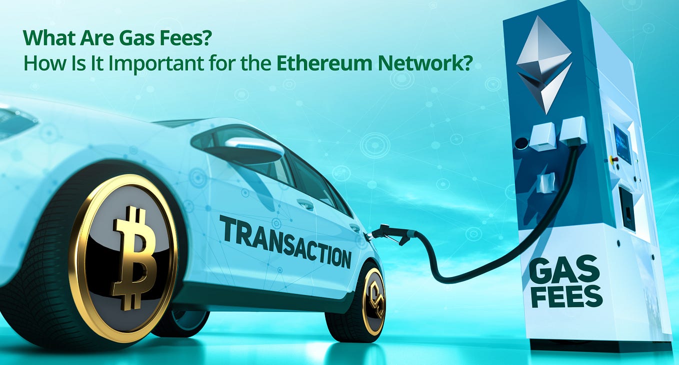 Introduction to Hippo Wallet. The blockchain industry is continuously… by Hippo Wallet Medium