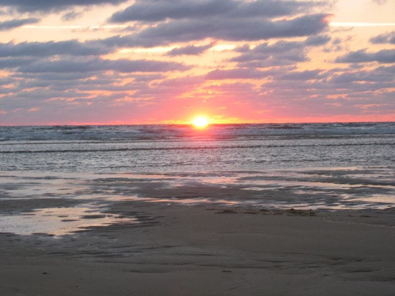 Those Who Wait on The Lord Will Not be Disappointed by Liza Lovett