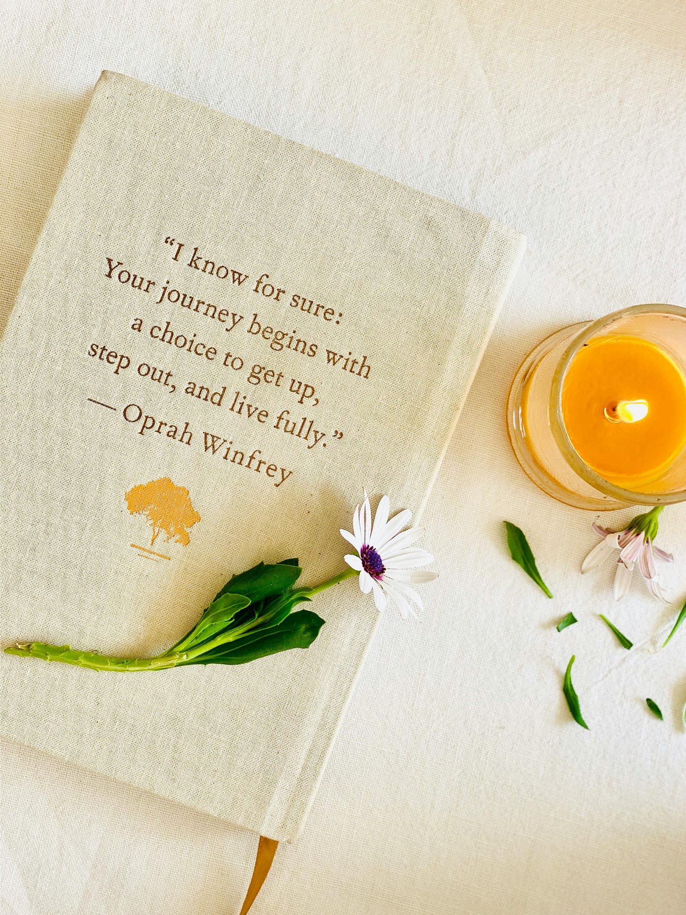 Tets and Ash! Jeff Eagle Medium