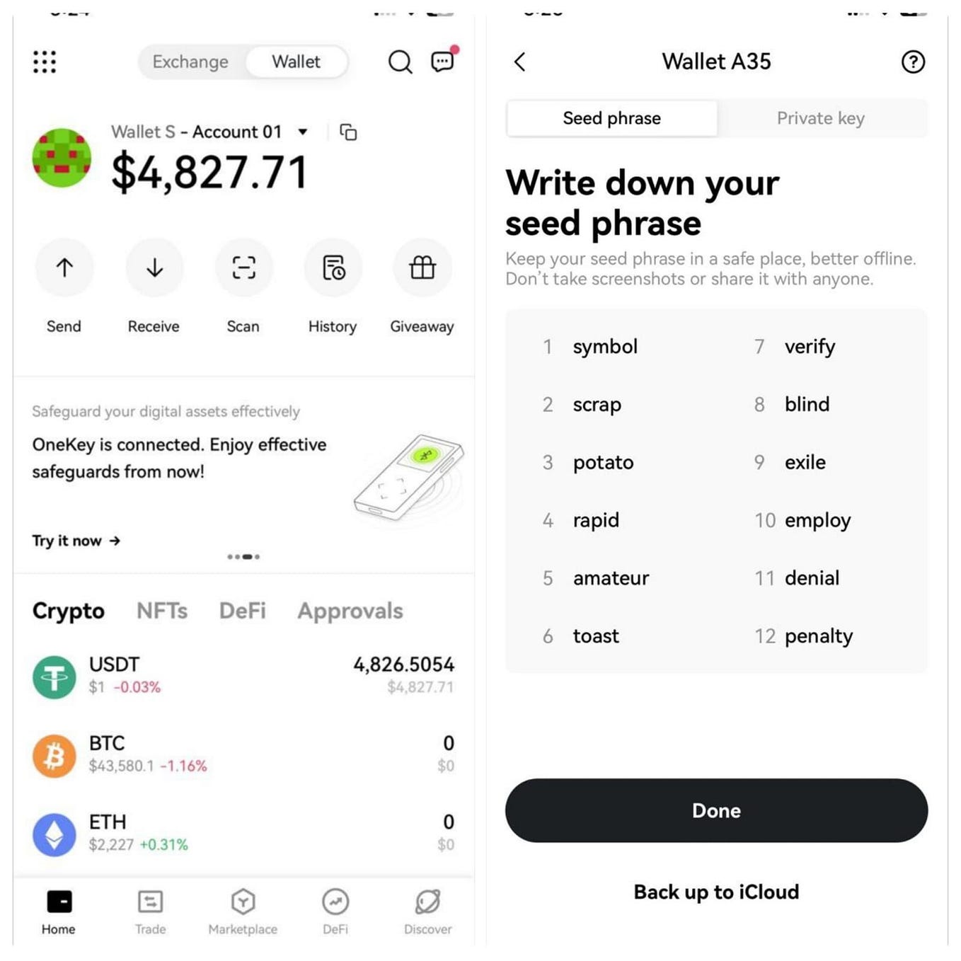 12 seed phrase Bella fetchora Medium