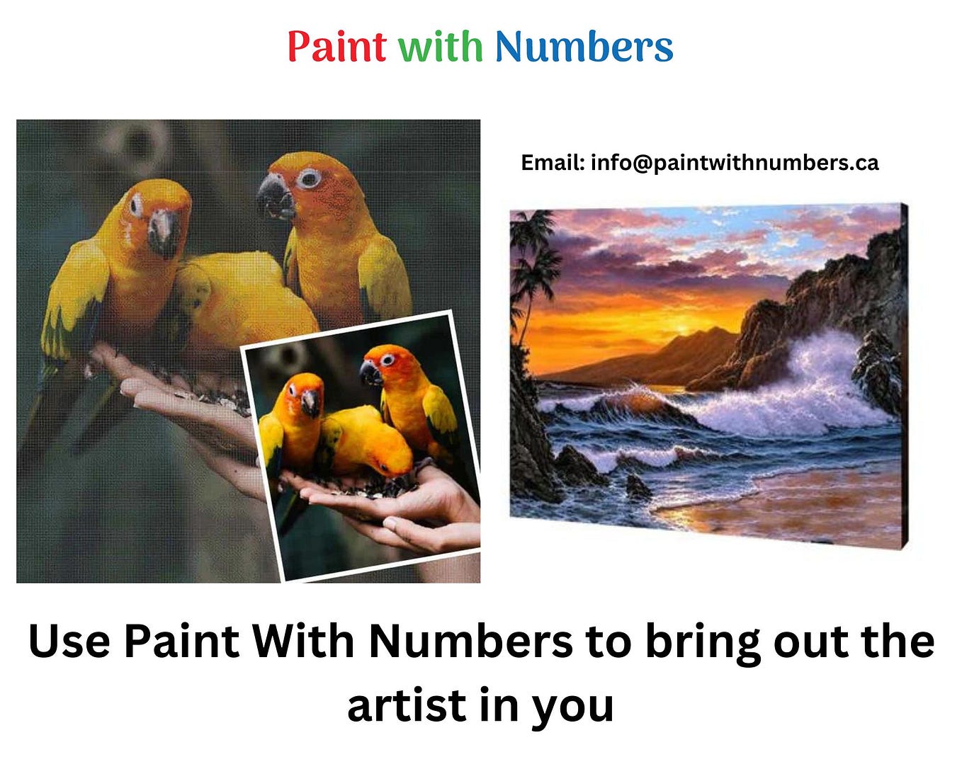 Find Canada’s Best Custom PaintbyNumbers Artists Paints with