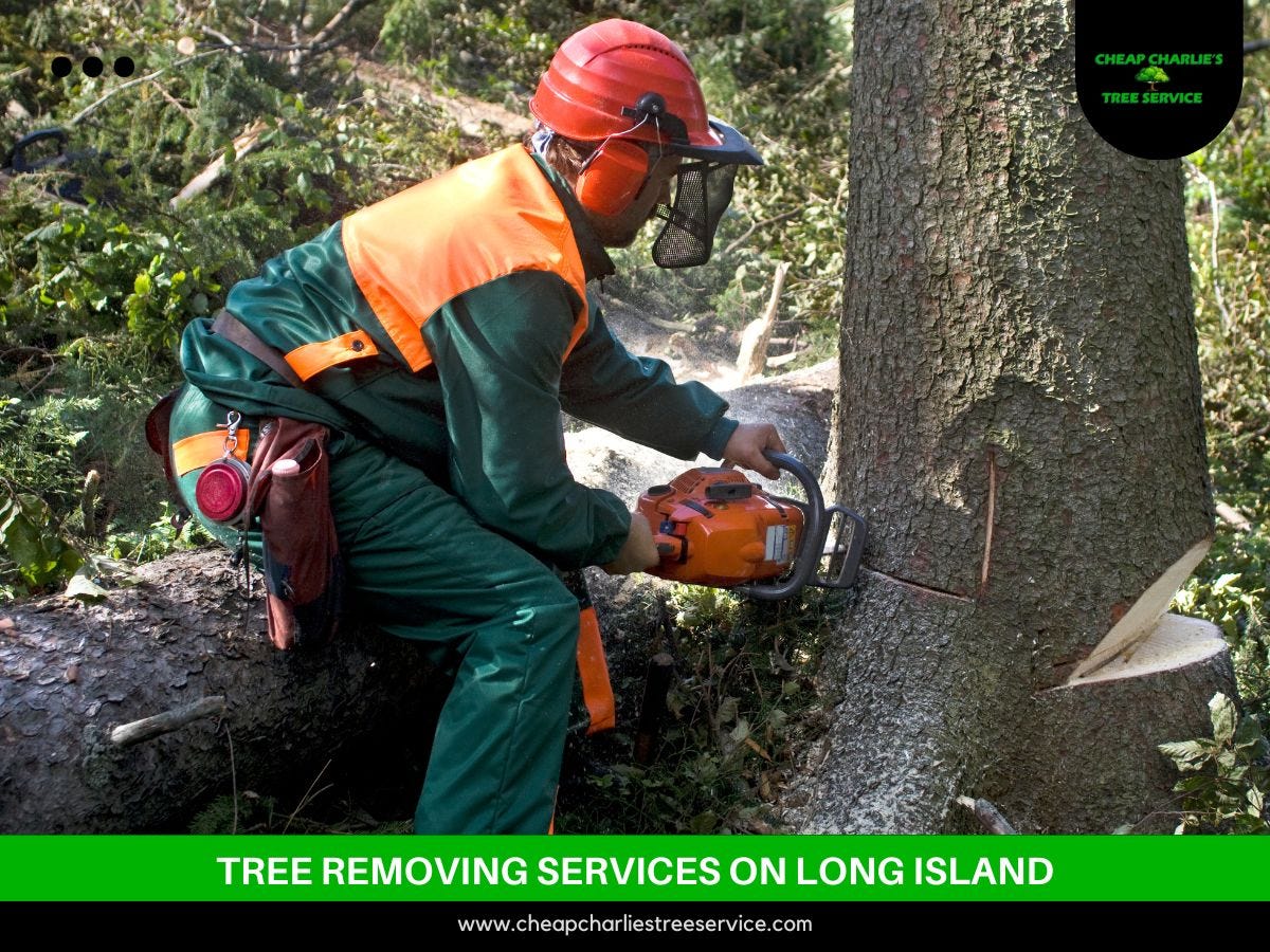 Tree Contractors Near Me — Ridge, NY by Cheap Charlie's Tree Service