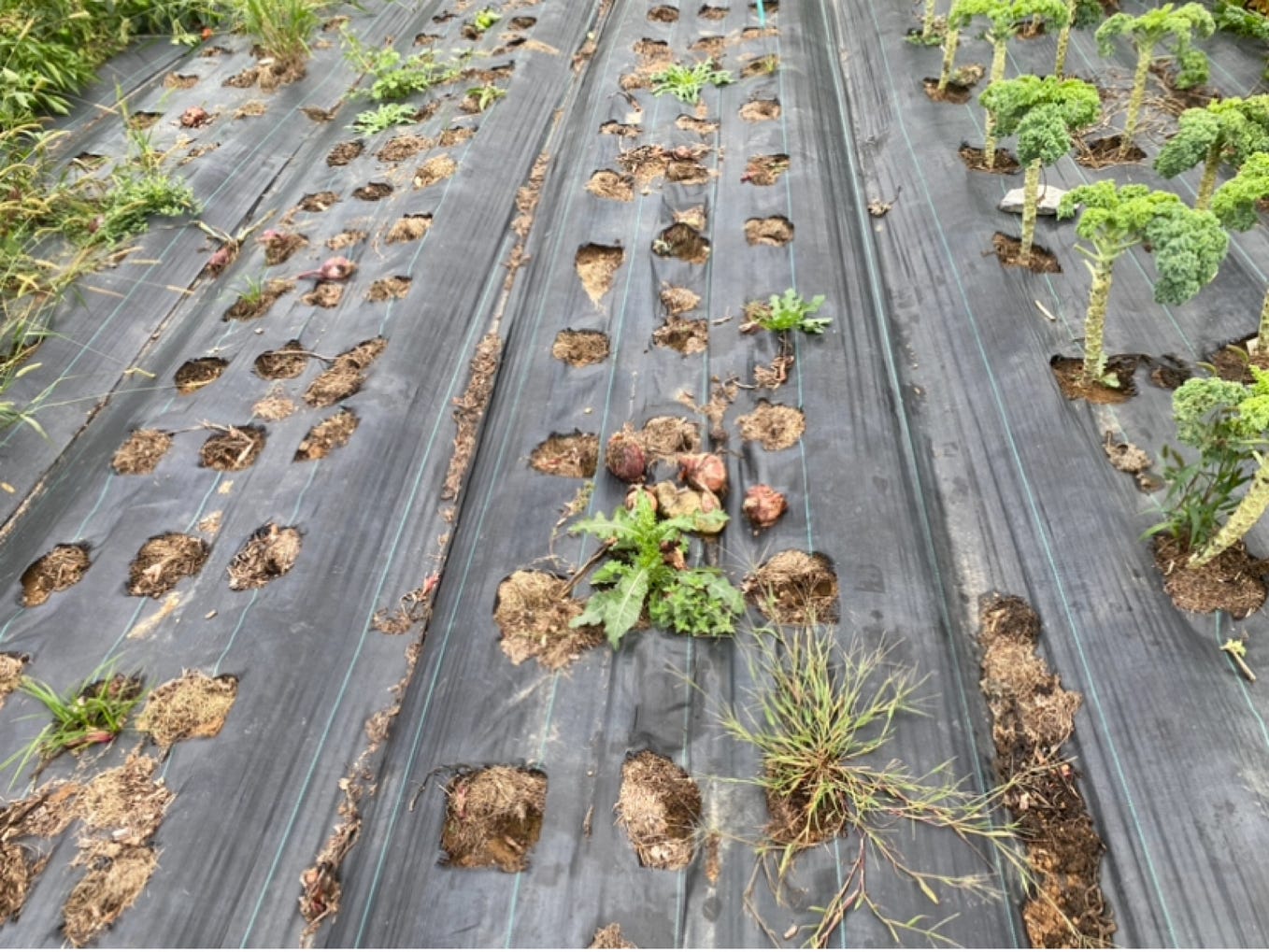 We can't be afraid of change, the pauses are very significant. They