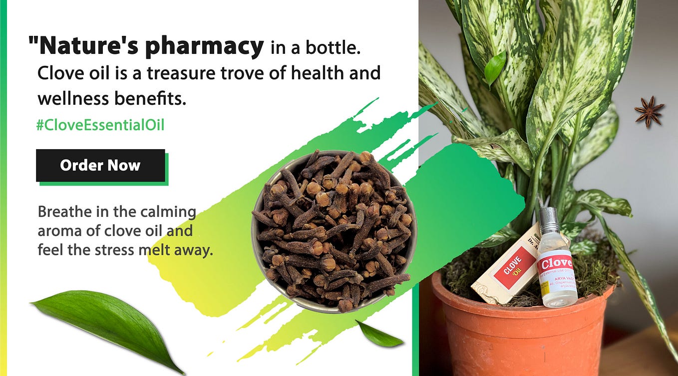 Elevate Your Greenery with Dr. Arya’s 4Feet Moss Stick Set for Lush